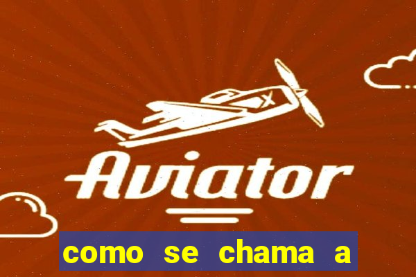como se chama a empresa que distribui as cartas no brasil